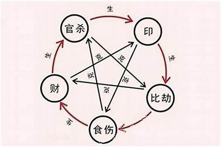 生肖鸡与生肖猪配如何