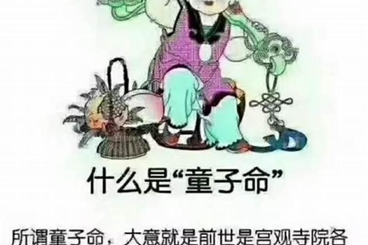 六七年属羊人命运