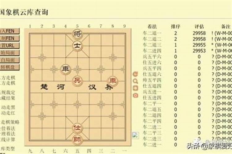 下棋是什么生肖