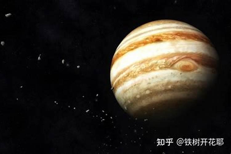 木星为什么守护双鱼