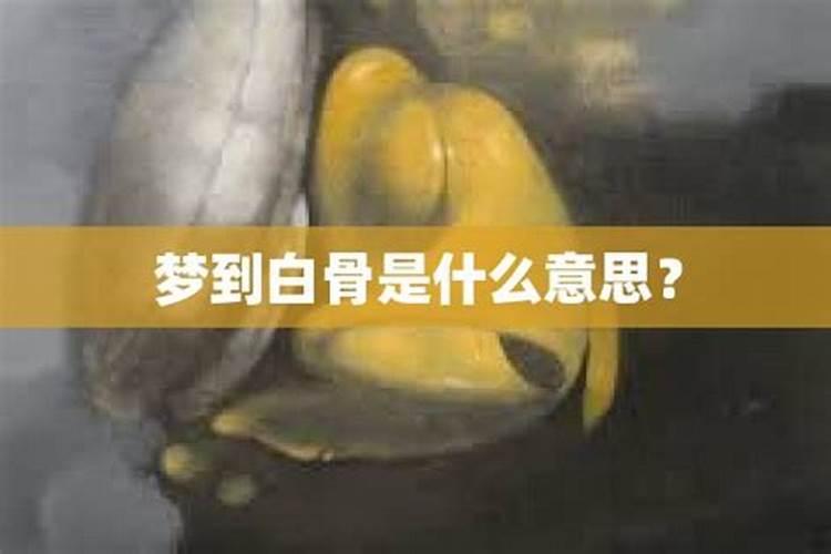 梦见许多白骨