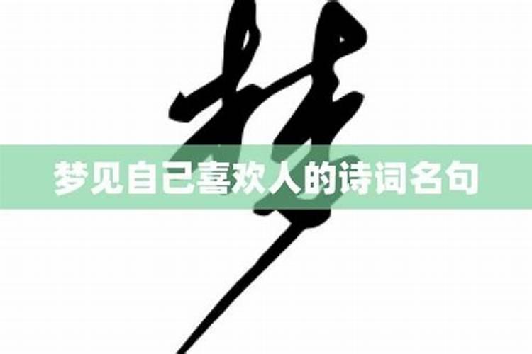 夜里梦到了喜欢的人