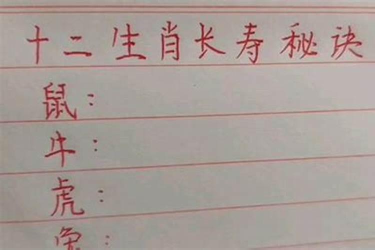 什么动物长命打一生肖