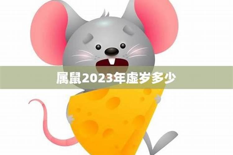 2023年属鼠虚岁多大