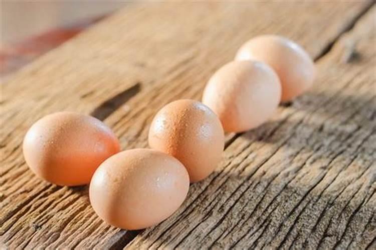 梦到捡鸡蛋和鹅蛋是什么预兆呢