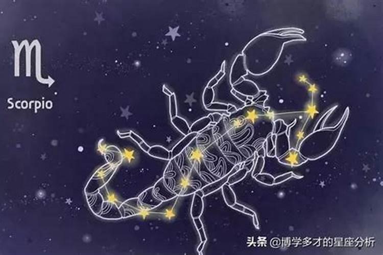 天蝎座挨着的星座男