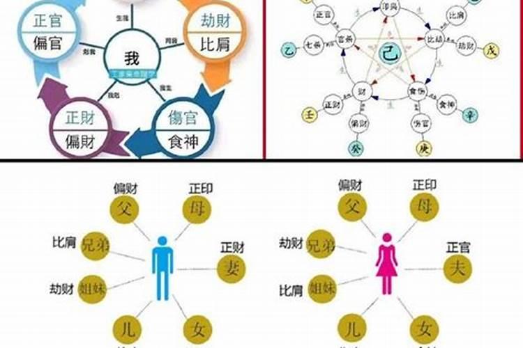 梦到很多死蛇预示着什么周公解梦