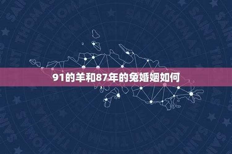 87年属兔和91年属羊两人的命运如何