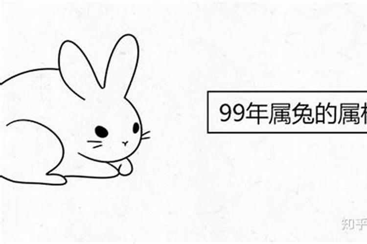 99年属兔的楼层