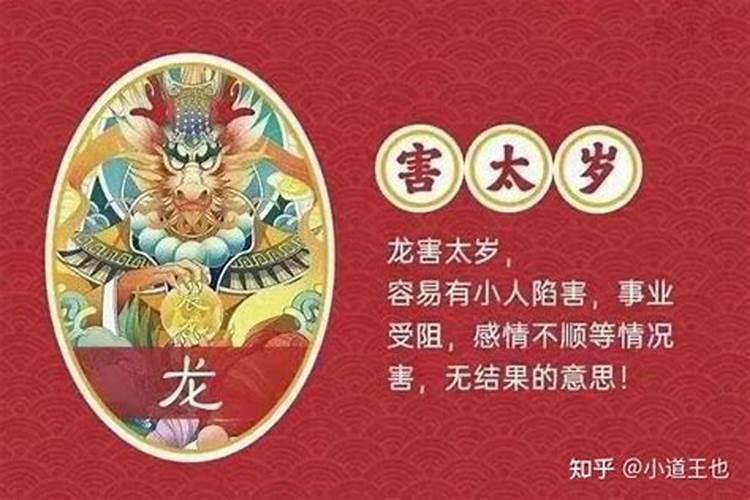 属龙的犯太岁怎么化解