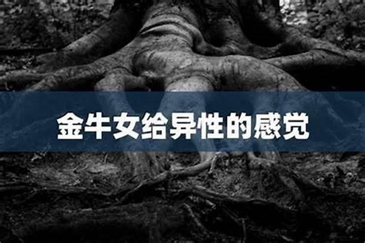 金牛男喜欢不主动的女人吗