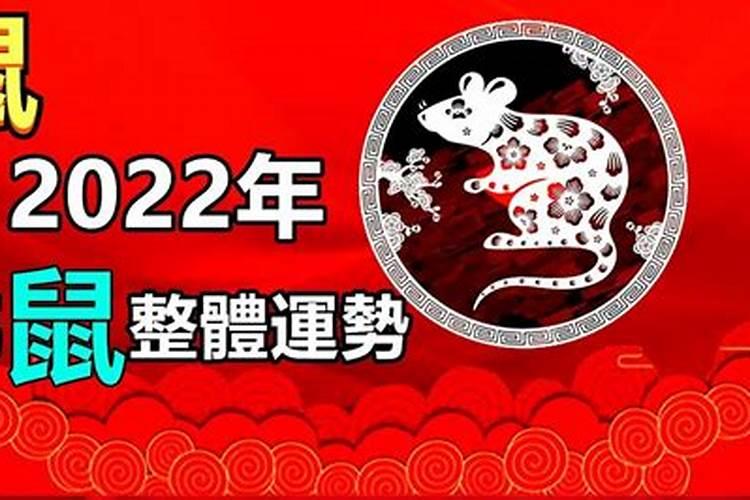 十二生肖2022年是什么年