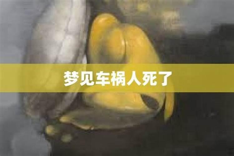 梦到自己救助别人