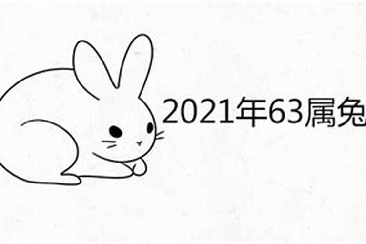 63年属兔男2020年运势及运程