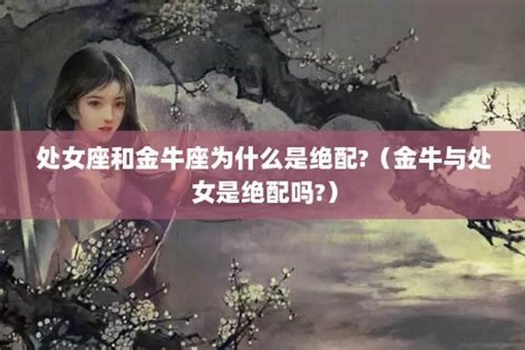 处女座金牛座友谊