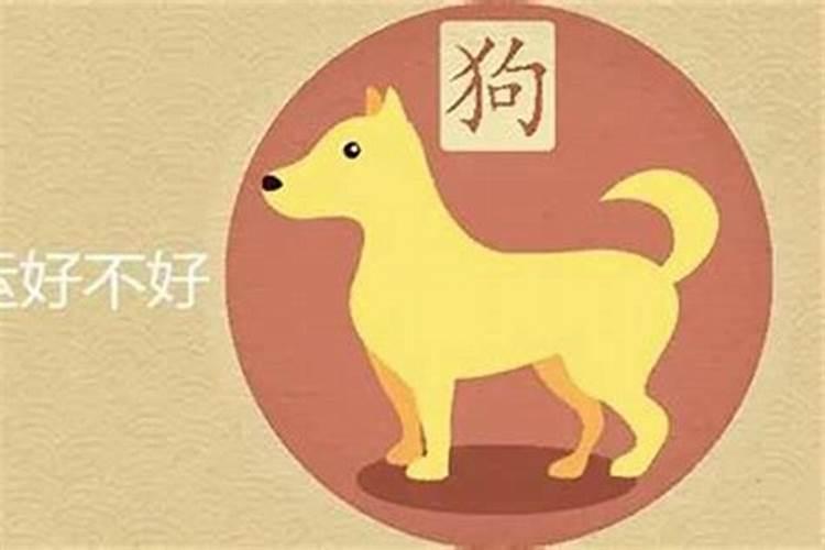 今年本命年要注意什么