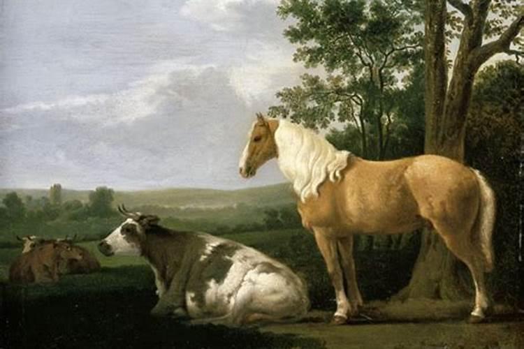 牛和马的婚姻能到头吗