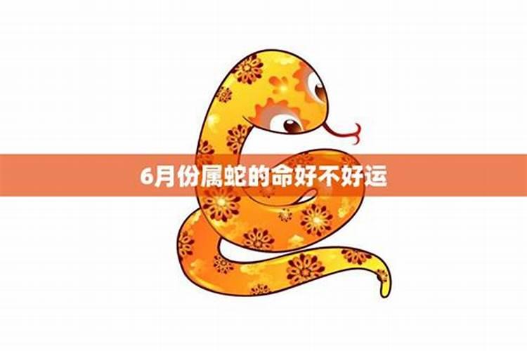 属蛇的11月运程怎么样