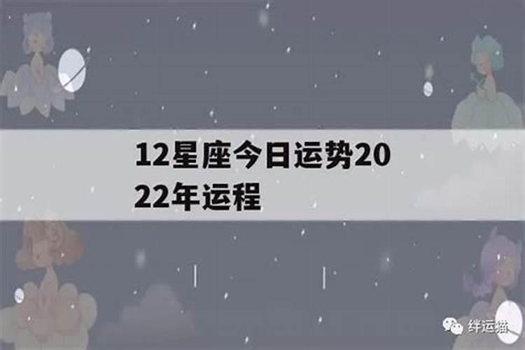 十二生肖2022年运势及运程完整美国神婆星座网