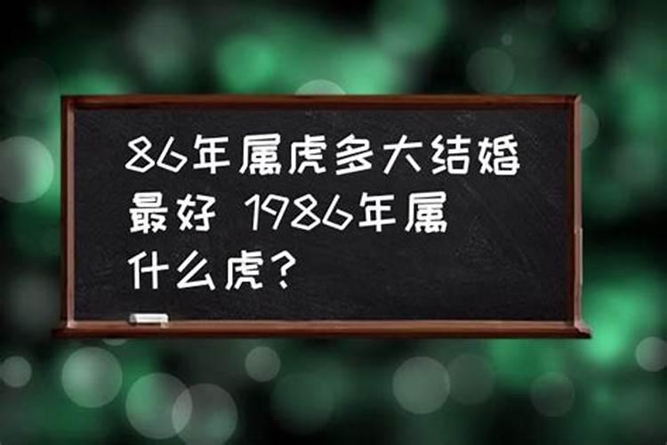 86年属虎多大结婚最好