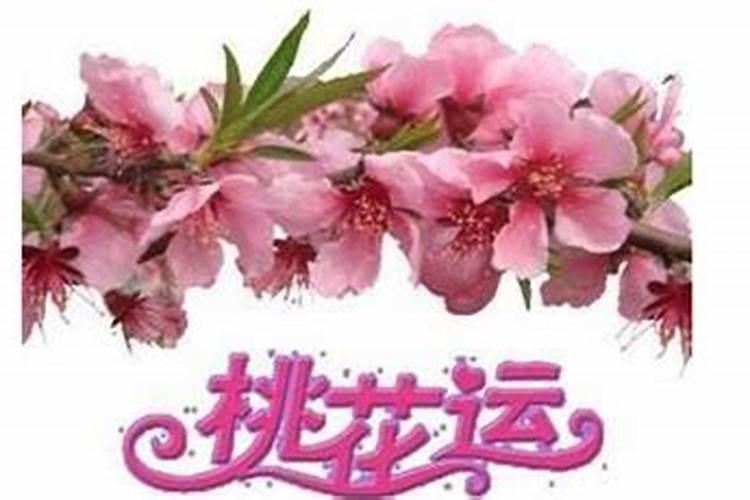 怎么能桃花运好点