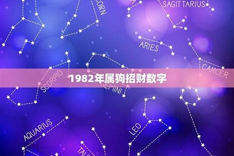 82年属狗的幸运数字是多少