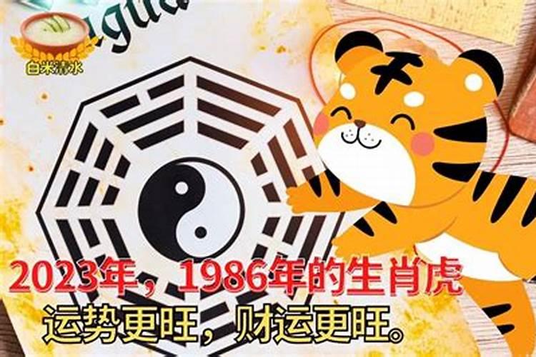 1986年属虎财运在哪方