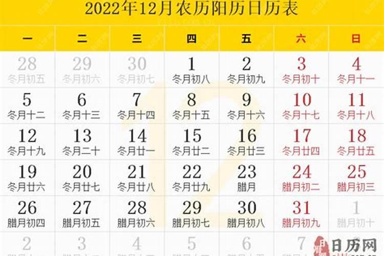 属狗在2022年婚姻怎么样