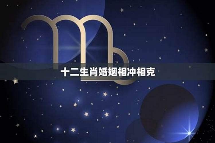 属相相冲但星座相合