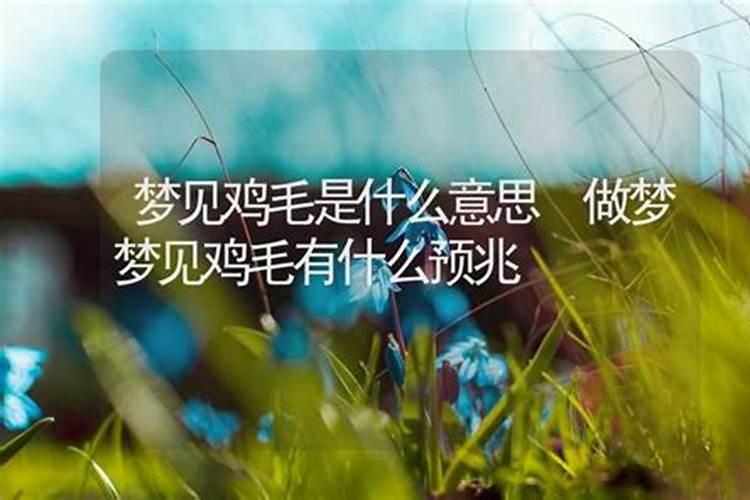 梦见鸡毛是什么意思周公解梦