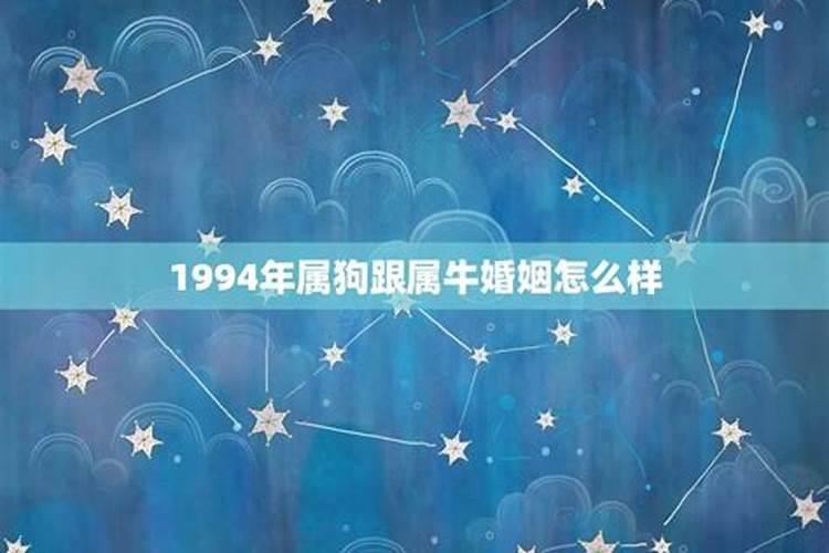 1994年属狗的婚姻怎么样