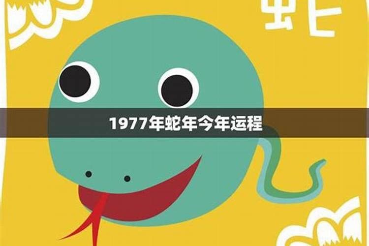 1977年属蛇的今年运势怎么样呢