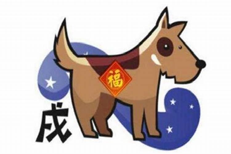 属狗今年会发生什么灾难和灾难