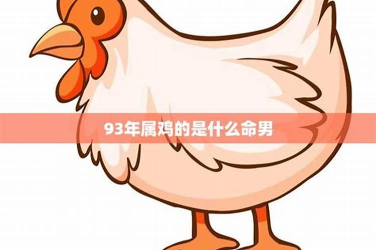 93年属鸡的什么命格男性