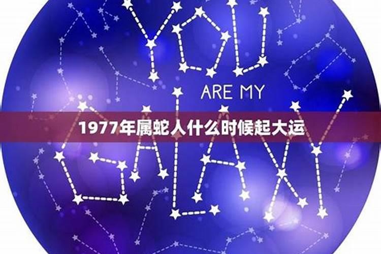 1977年属蛇人哪年才能走大运