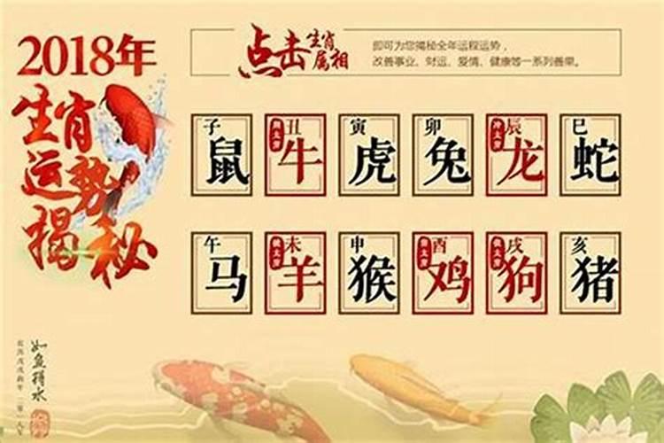 男鸡女马属相合吗