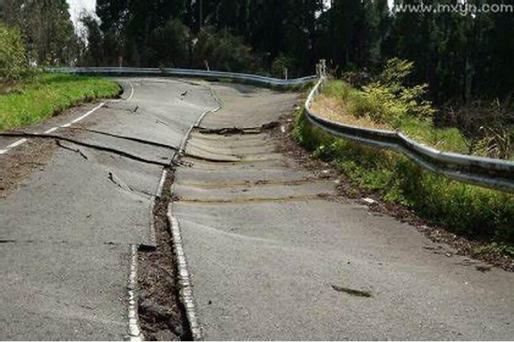 梦见地震都在逃跑