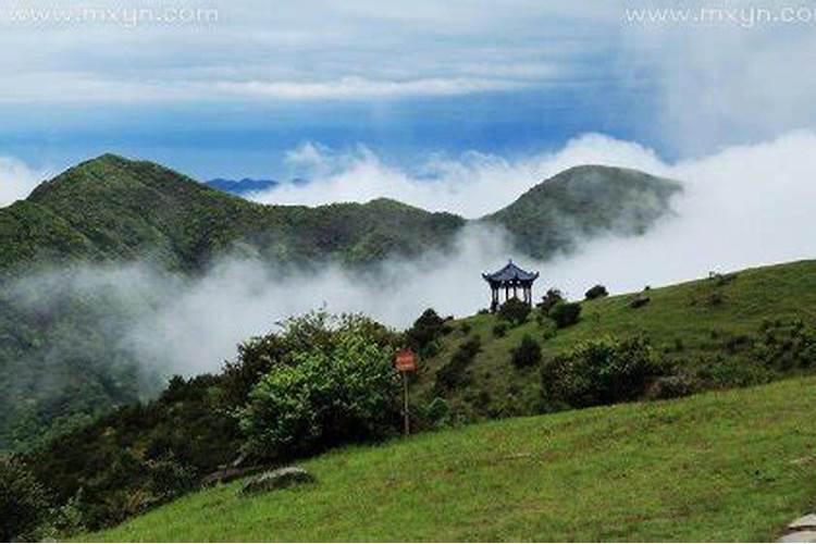 梦见山上是什么意思