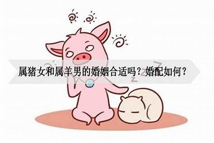 女属猪男属猪相配吗婚姻