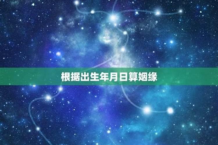 星座里的关系