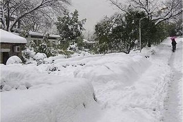 梦见大雪满地很厚逝去的人在雪地里