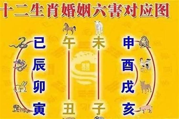 属马的今年忌讳什么属相