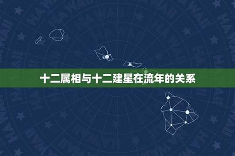 明星的属相和星座