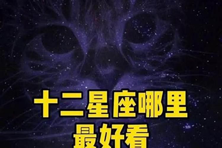 12星座哪里最好看漂亮