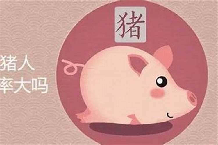 属猪人今年12月份运程