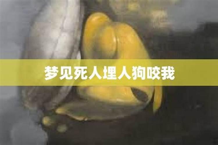 女人梦见埋死人是什么兆头周公解梦