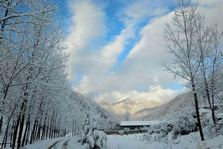 梦到雪后美丽的雪景