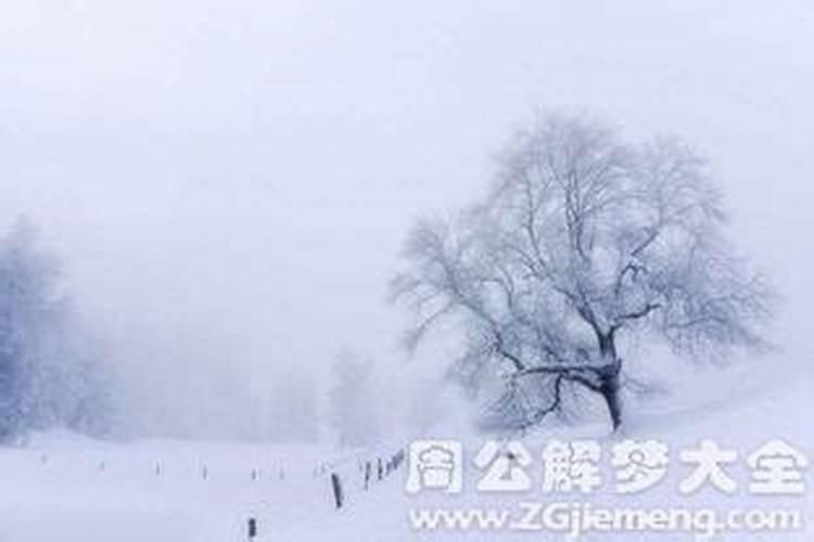 孕晚期梦见雪景什么意思