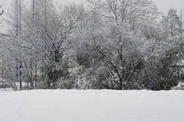 梦到雪景是什么征兆