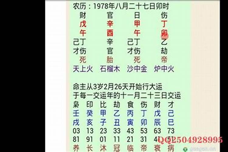 生于1977年属蛇的人在2020年每月财运如何